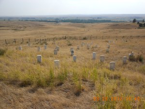 Custer and Men, June 25, 1876: marked where they died.