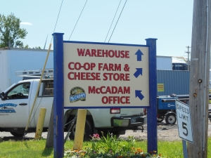 McCadam Cheese "Oz Scarecrow" Sign, Chateaugay, New York, July 16, 2015